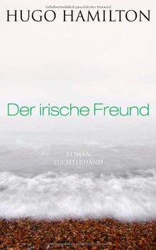 Der irische Freund: Roman