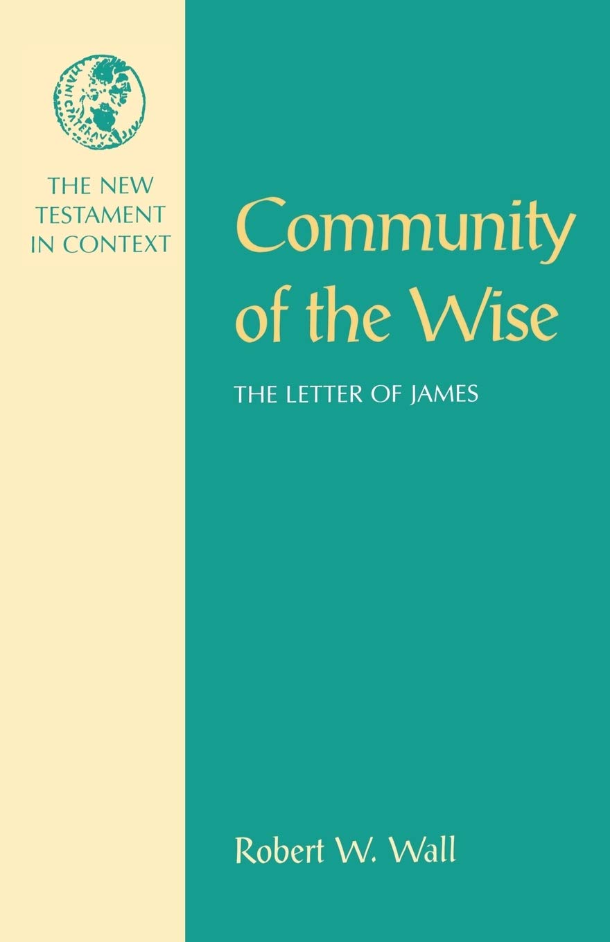 Community of the Wise: The Letter Of James (New Testament in Context)