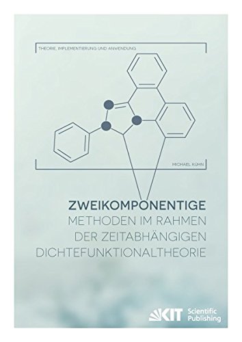 Zweikomponentige Methoden im Rahmen der zeitabhängigen Dichtefunktionaltheorie - Theorie, Implementierung und Anwendung: Dissertationsschrift