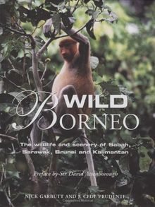 Wild Borneo: The Wildlife and Scenery of Sabah, Sarawak, Brunei and Kalimantan (Mit Press)