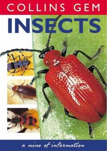 Insects (Collins GEM)