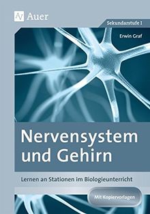 Nervensystem und Gehirn: Lernen an Stationen im Biologieunterricht (8. bis 10. Klasse) (Lernen an Stationen Biologie Sekundarstufe)