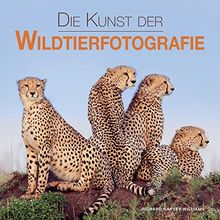 Die Kunst der Wildtierfotografie