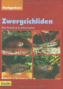 Zwergcichliden, Ratgeber