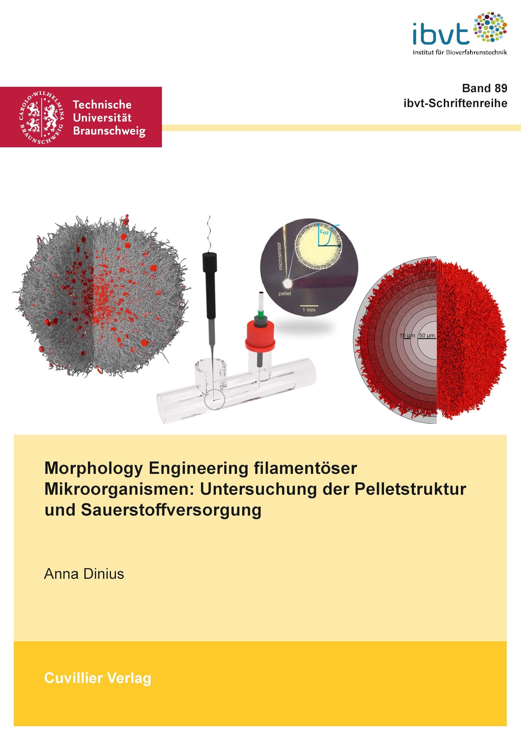 Morphology Engineering filamentöser Mikroorganismen: Untersuchung der Pelletstruktur und Sauerstoffversorgung