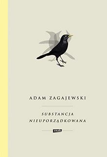 Substancja nieuporzadkowana