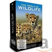 The World of Wildlife - the Big Cats [3 DVDs]