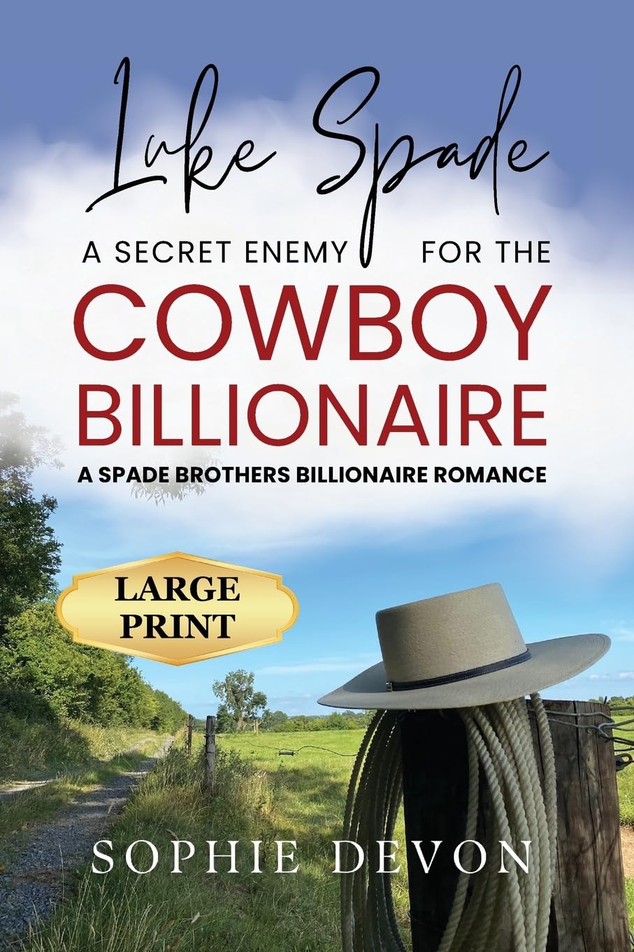 Luke Spade - A Secret Enemy for the Cowboy Billionaire: A Spade Brothers Billionaire Romance LARGE PRINT (Spade Brothers Ranch Large Print, Band 4)