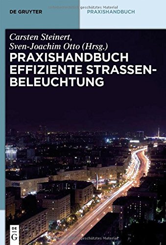 Praxishandbuch effiziente Straßenbeleuchtung (De Gruyter Praxishandbuch)