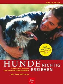 Hunde richtig erziehen: Schritt für Schritt zum idealen Familienhund