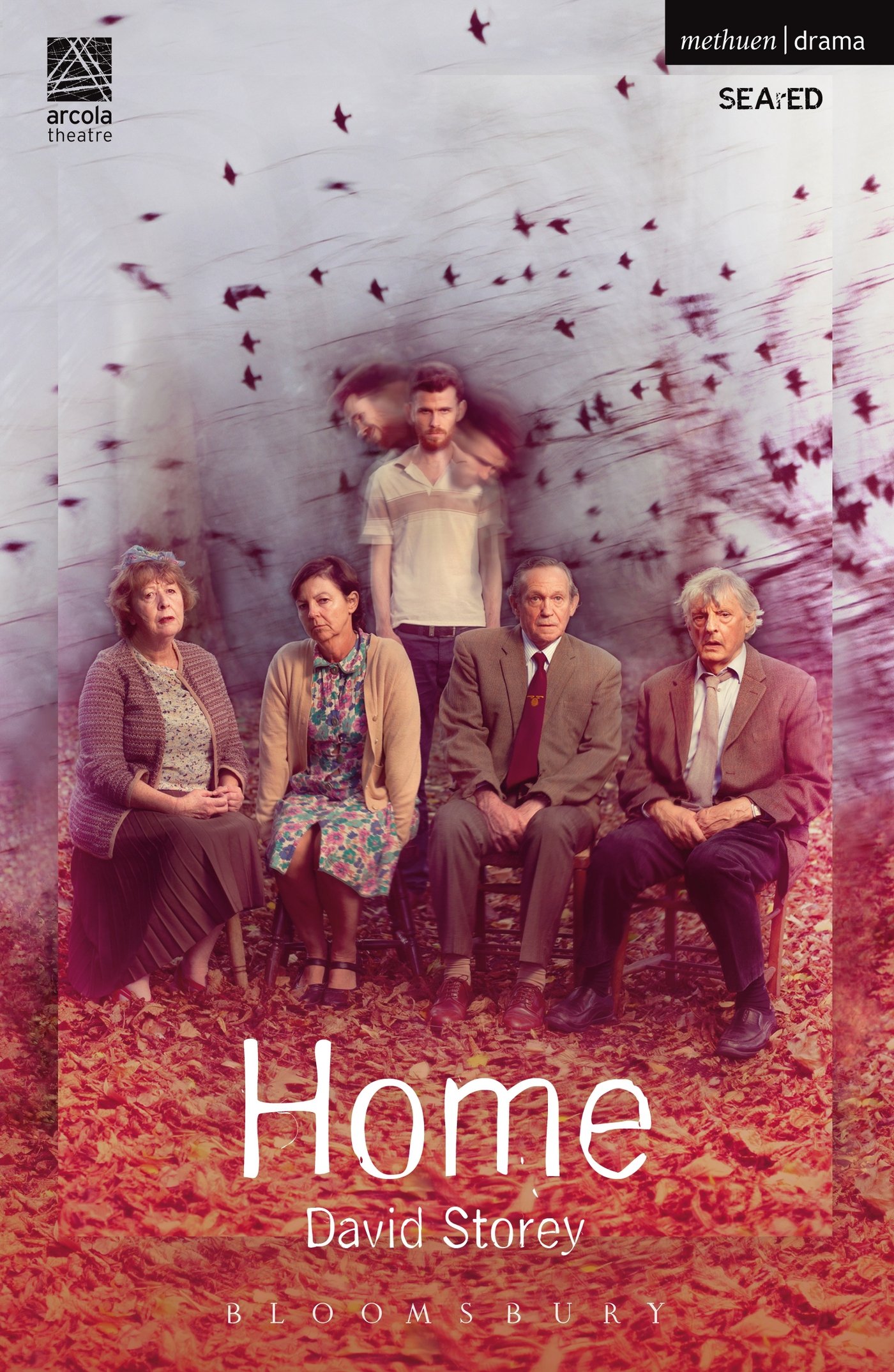 Home (Modern Plays)