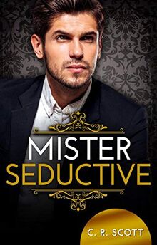 Mister Seductive: Liebesroman