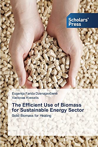 The Efficient Use of Biomass for Sustainable Energy Sector: Solid Biomass for Heating