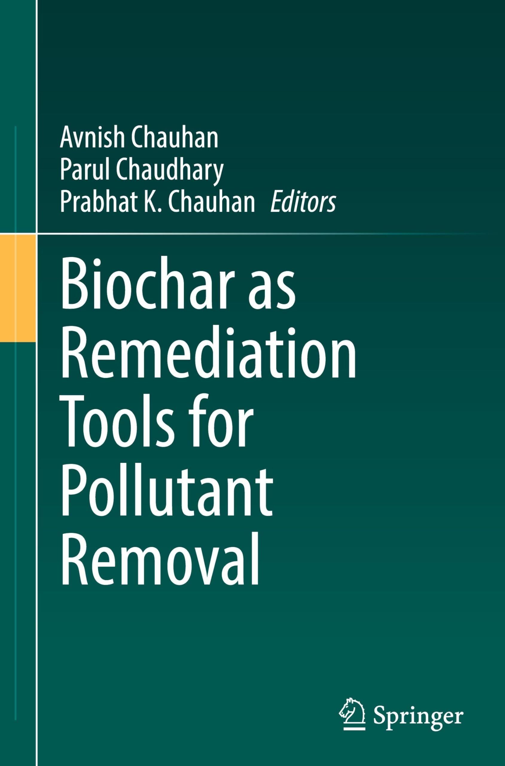 Biochar as Remediation Tools for Pollutant Removal