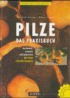Pilze