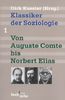 Klassiker der Soziologie Bd. 1: Von Auguste Comte bis Norbert Elias