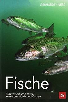 Fische: Süßwasserfische sowie Arten der Nord- und Ostsee