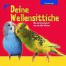 Deine Wellensittiche: Was sie brauchen & was sie alles können