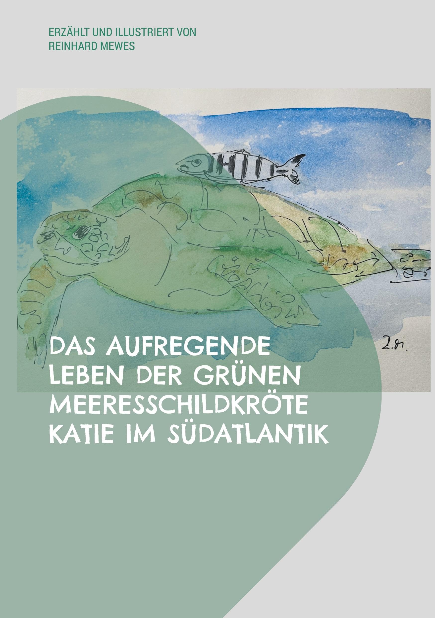 Das aufregende Leben der grünen Meeresschildkröte Katie im Südatlantik