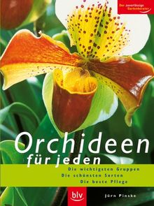 Orchideen für jeden