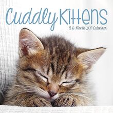 Cuddly Kittens 2019 Calendar