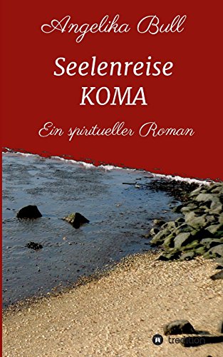 Seelenreise KOMA: Ein spiritueller Roman