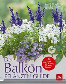 Der Balkonpflanzen-Guide: Die besten Arten & Sorten für jeden Standort