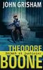 Theodore Boone : Enfant et justicier