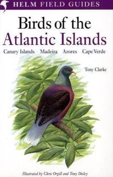 Field Guide to the Birds of the Atlantic Islands: Canary Islands, Madeira, Azores, Cape Verde (Helm Field Guides)