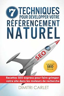 SEO - 7 Techniques pour Développer votre Référencement Naturel: Recettes SEO express pour faire grimper votre site dans les moteurs de recherche