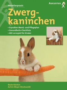 Zwergkaninchen