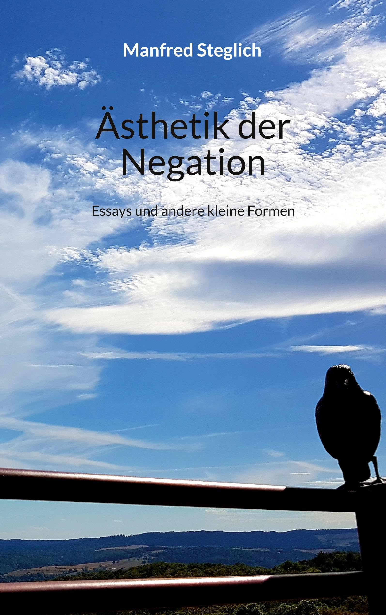 Ästhetik der Negation: Essays und andere kleine Formen