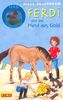 Ferdi, Band 2: Ferdi - und das Pferd aus Gold