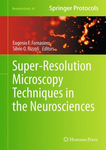 Super-Resolution Microscopy Techniques in the Neurosciences (Neuromethods)