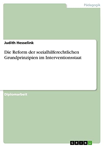 Die Reform der sozialhilferechtlichen Grundprinzipien im Interventionsstaat: Diplomarbeit