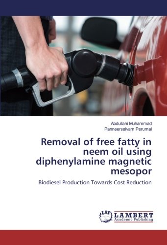 Removal of free fatty in neem oil using diphenylamine magnetic mesopor: Biodiesel Production Towards Cost Reduction