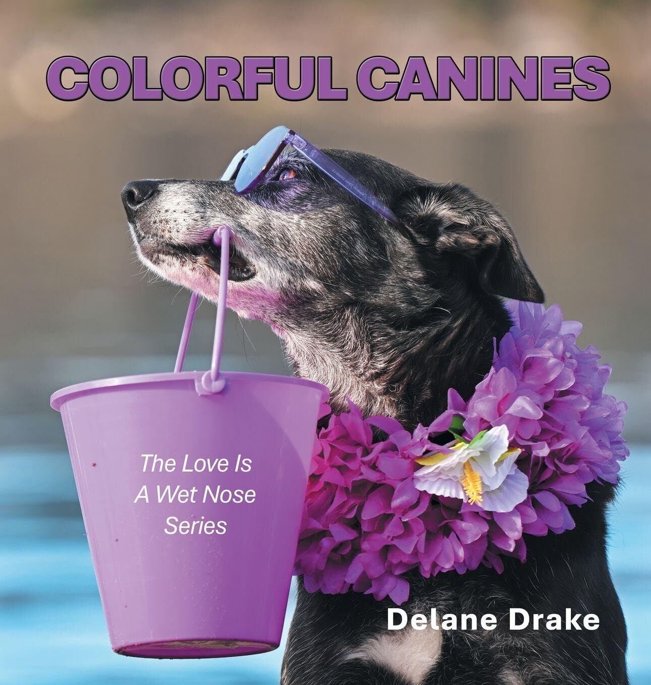 Colorful Canines