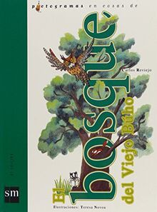 El bosque del viejo buho (Pictogramas, Band 12)