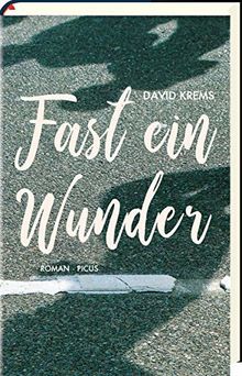 Fast ein Wunder: Roman