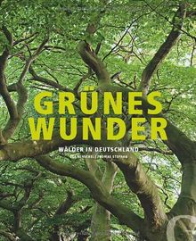 Grünes Wunder: Wälder in Deutschland