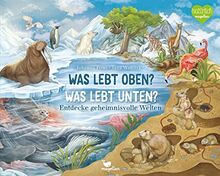 Was lebt oben? Was lebt unten?: Entdecke geheimnisvolle Welten