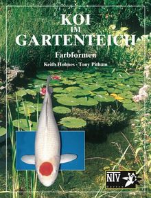 Koi im Gartenteich. Farbformen