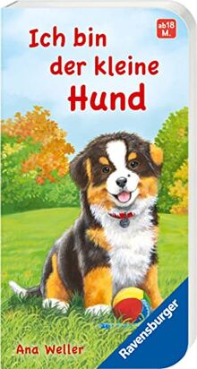 Ich bin der kleine Hund