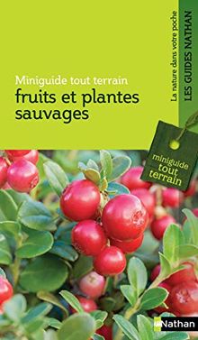 Fruits et plantes sauvages