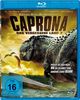 Caprona - Das vergessene Land 2 (Blu-ray)