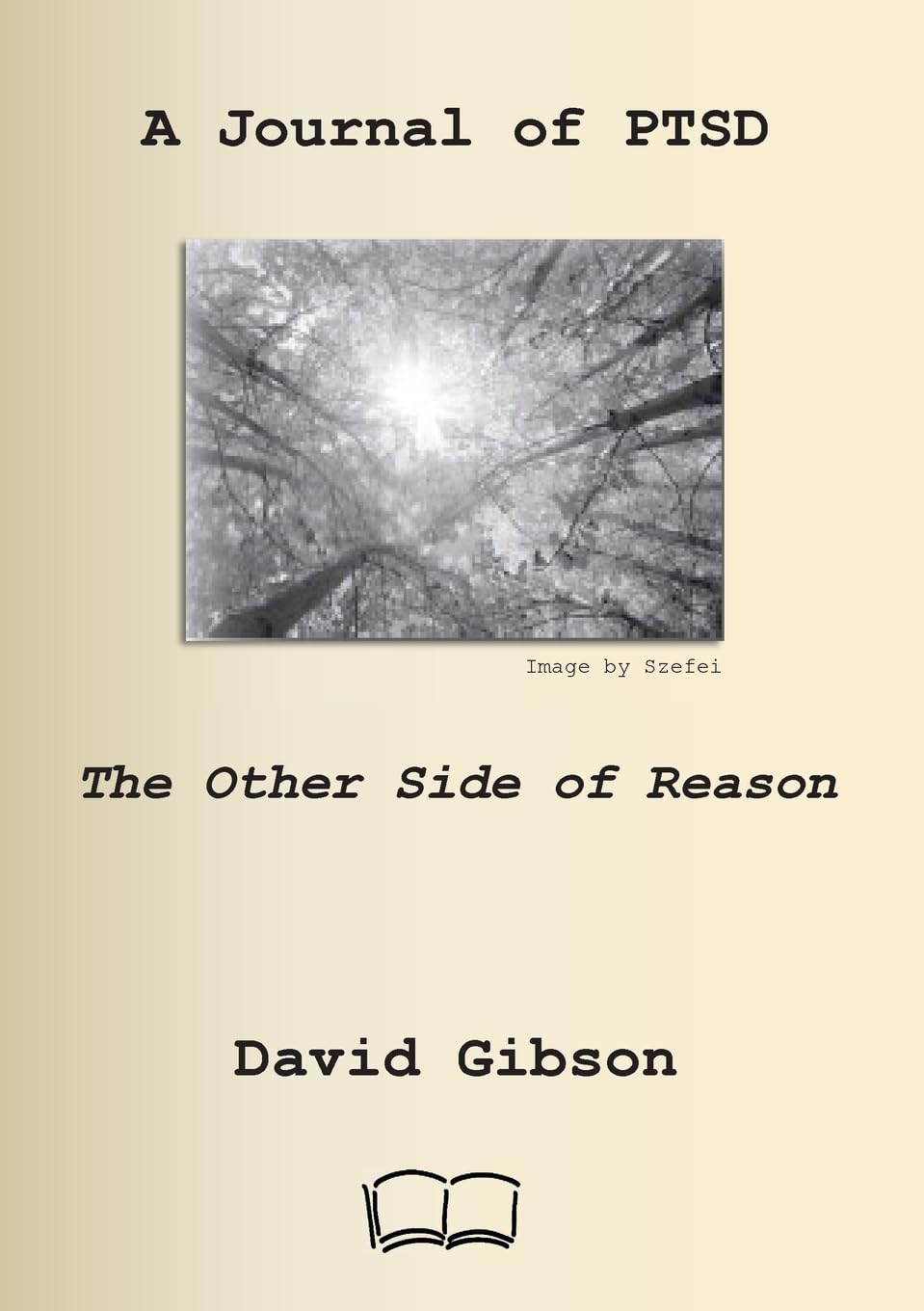 A JOURNAL OF PTSD: THE OTHER SIDE OF REASON