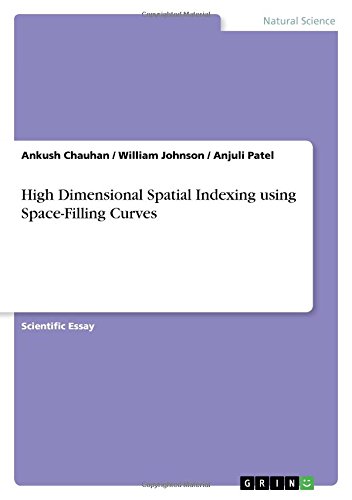 High Dimensional Spatial Indexing using Space-Filling Curves