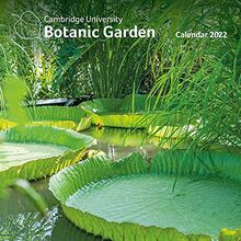 Botanic Garden – Botanischer Garten Kalender 2022: Original Flame Tree Publishing-Kalender [Kalender] (Wall-Kalender)