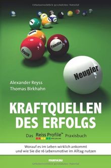 Kraftquellen des Erfolgs - Das Reiss Profile Praxisbuch. Worauf es im Leben wirklich ankommt und wie Sie die 16 Lebensmotive im Alltag nutzen