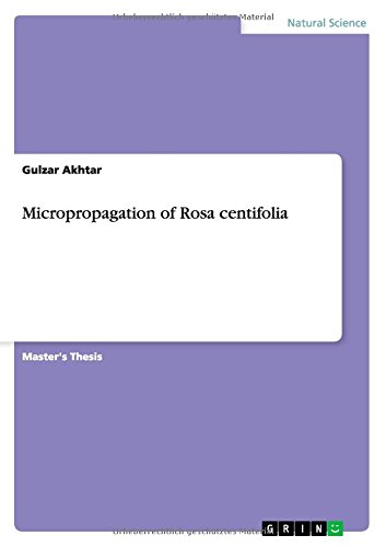 Micropropagation of Rosa centifolia